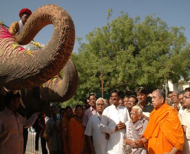 Hindi Navvarsh haati poojan